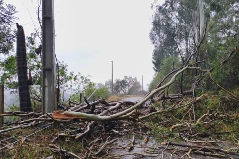 Sobe para seis o número de municípios catarinenses em situação de emergência após temporais