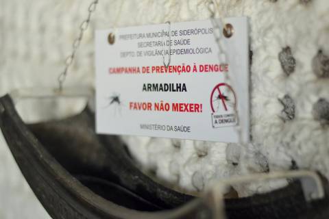 Foco do mosquito da dengue é controlado em Siderópolis