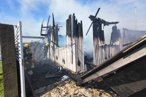 Cachorra morre e casa é destruída após incêndio provocado por mulher em surto