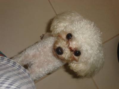 Procura-se Pick