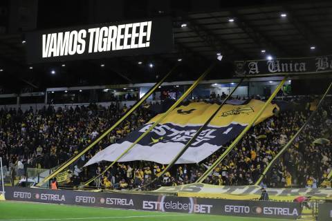 Novo app do Criciúma Esporte Clube alcança quase 6 mil torcedores em menos de um mês