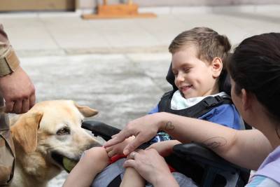 Criciúma: projeto “Mascote Amigo” retoma atendimentos de cinoterapia