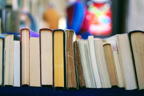 Nova Veneza promove incentivo à leitura com nova edição da Feira do Livro