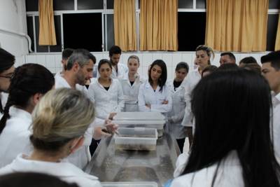 Colégio Universitário e Esucri abrem matrículas para curso técnico em Enfermagem