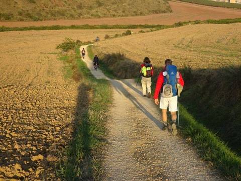 Compostela - Passo a Passo: livro dá dicas para enfrentar o Caminho de Santiago  