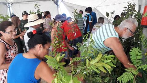 Mudas e sementes distribuídas durante a Arrancada