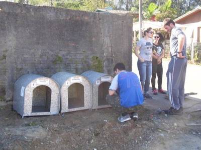 Nem as casinhas de cachorro escapam dos vândalos