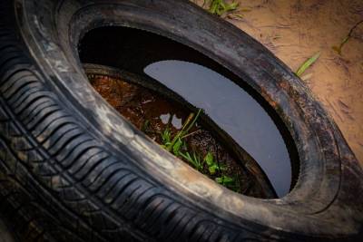 Dengue em SC: inscrições para campanha de recolhimento de pneus abrem nesta segunda-feira 
