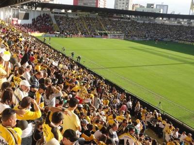 Definido o valor do ingresso para o primeiro jogo do Tigre no Majestoso