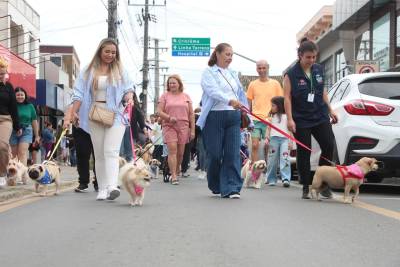 Cãominhada: segunda edição está com inscrições abertas em Morro da fumaça