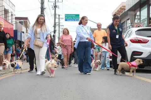 Cãominhada: segunda edição está com inscrições abertas em Morro da fumaça