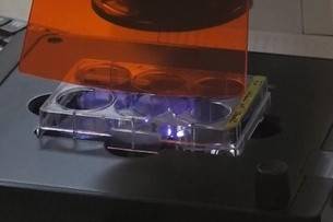 Laboratório suíço cria coronavírus sintético