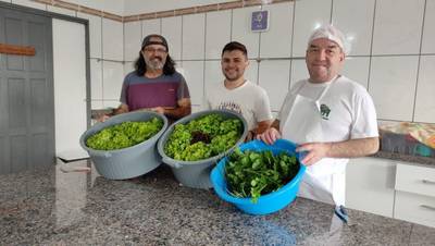 Hortaliças de horta experimental de pesquisa de mestrado são doadas à comunidade