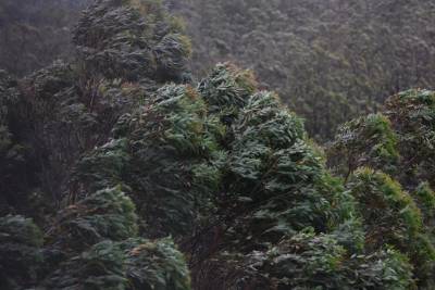 Chuva e rajadas provocam danos em municípios de Santa Catarina