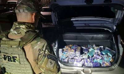 Mais de 220 quilos de maconha são apreendidos durante abordagem da PRF na BR-101