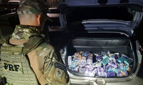 Mais de 220 quilos de maconha são apreendidos durante abordagem da PRF na BR-101