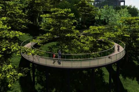 Criciúma terá único borboletário de SC após construção de Parque Ecológico, afirma prefeito
