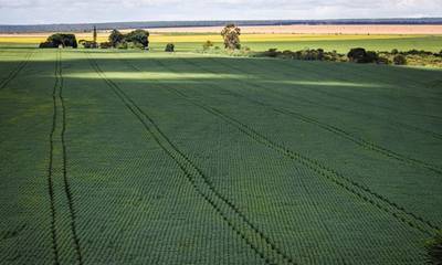 Valor da Produção Agropecuária deve chegar a R$ 1,227 trilhão este ano