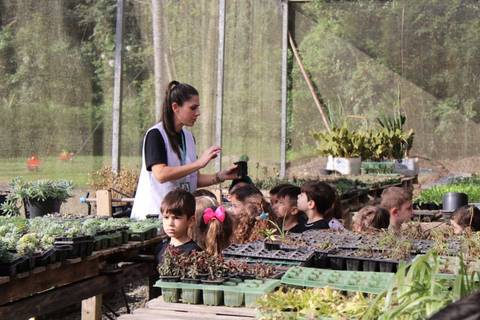 Integração com a natureza na escola transforma o desenvolvimento das crianças no Colégio Satc