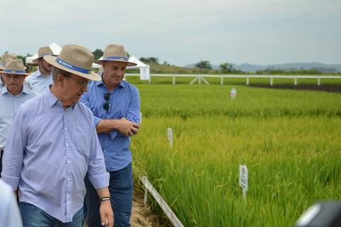 Governador participa da abertura oficial da colheita do arroz em Tubarão