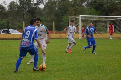 Meleiro caseiro e com projeto a longo prazo