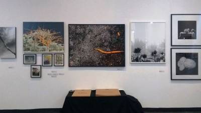Feira reúne fotografias de 26 artistas no Nações Shopping