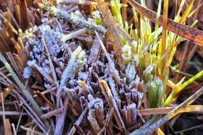 Serra Catarinense amanhece coberta de geada e registra temperaturas negativas
