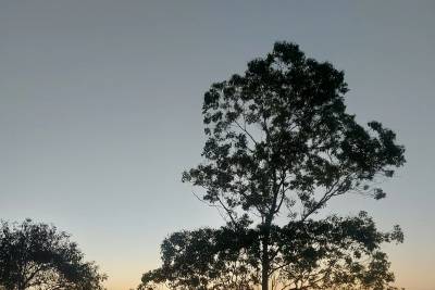 Domingo será de sol com mudança no tempo e chance de pancadas isoladas em SC