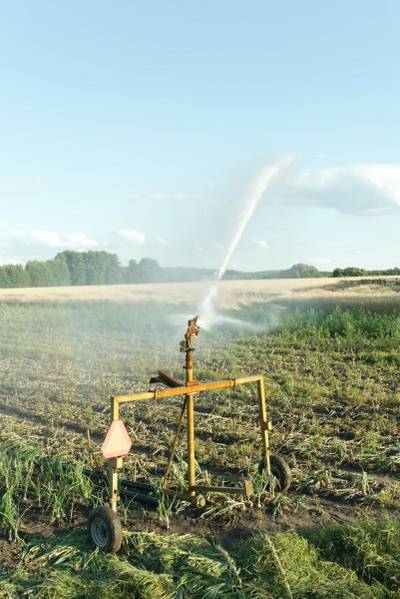 Celesc inicia recadastramento para consumidores rurais com benefício de Irrigação e Aquicultura