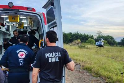 Homem fica ferido após queda de árvore em Treviso