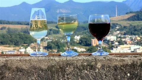Município oferece curso gratuito de produção de vinhos