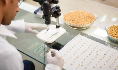 Sementes certificadas Cooperja opção para bons resultados no campo