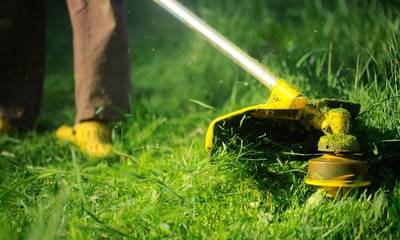 Verão e os cuidados necessários nos jardins e terrenos