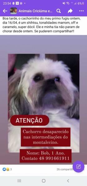 Procura-se Bob