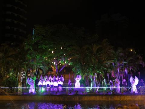 VÍDEO: Luminus Chorus reúne grande público