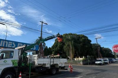 Operação Limpa Fios recolhe mais de 230 quilos de materiais em Içara