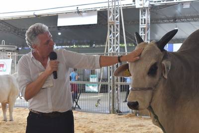 Evento fala sobre dez raças bovinas na AgroPonte; veja galeria de fotos