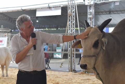 Evento fala sobre dez raças bovinas na AgroPonte; veja galeria de fotos