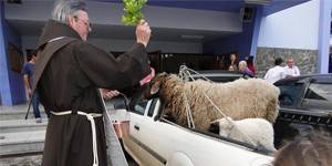 Festa de São Francisco de Assis terá benção dos animais nesta terça-feira 