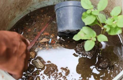 Brasil ultrapassa marca de 5 mil mortes por dengue