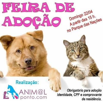 Animal para doação - Feira De Adoção De Animais