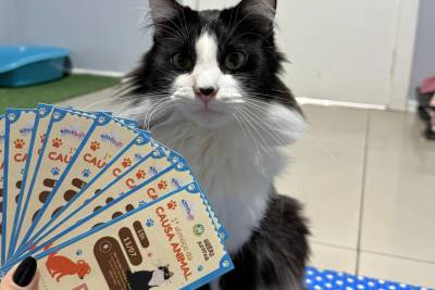 Primeiro Almoço da Causa Animal acontece neste sábado: últimos ingressos ainda estão disponíveis