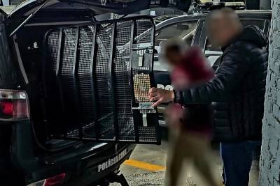 Criciúma: polícia prende homem investigado em crime de roubo e furto no bairro Vila Nova Esperança