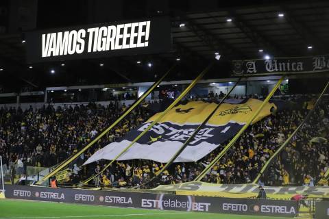 Sócio Carvoeiro: entenda como funciona o novo app do Criciúma Esporte Clube