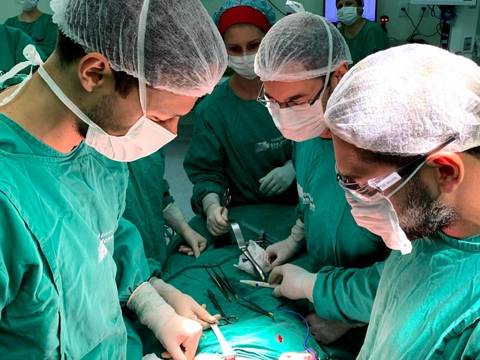 Hospital São José realiza 80° transplante renal