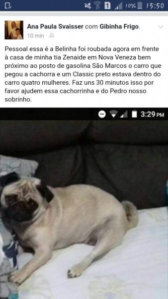 Procura-se
