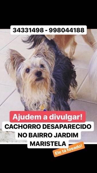 Procura-se Baruk