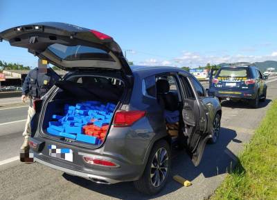 Santa Catarina: motorista paranaense é preso com 382 quilos de maconha na BR-101