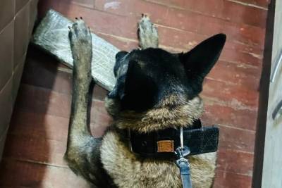 Criciúma: homens são presos por tráfico após tentarem fugir e esconder drogas em telhado; veja fotos e vídeo