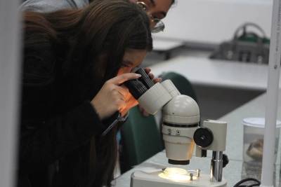 Licenciaturas da Unesc conquistam resultados de excelência no Enade 2025